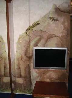 Hotel Drachen Bazylea 4*,  Szwajcaria